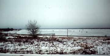 Escanaba Bay Outhouse and Ice Fishermen