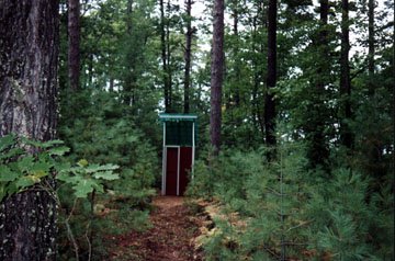 The Outhouse is Tucked Back in the Woods