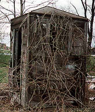 Side View of Tin-roofed Outhouse