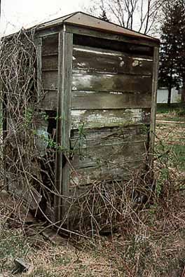 Rear View of Tin-roofed Outhouse