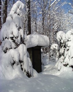Winter in Vermont; Brrrrrrrr!