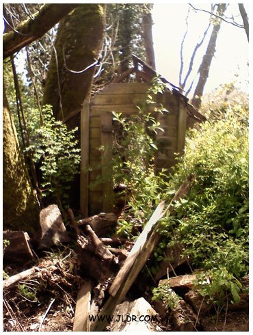 Remains of the Puyallup outhouse in its original spot